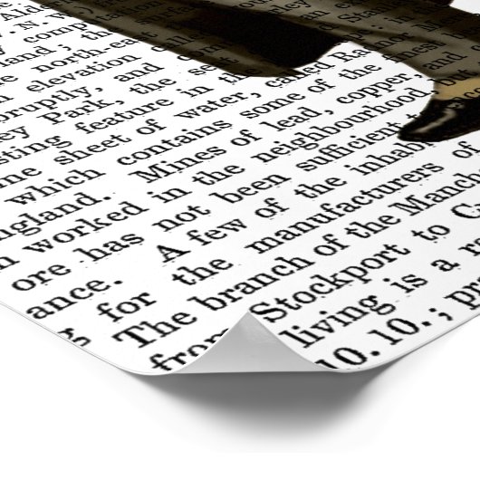 Schnauzer Lawyer Poster (Ecke)