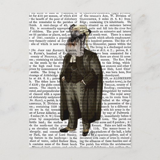 Schnauzer Lawyer Postkarte (Vorderseite)