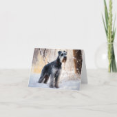 Schnauzer Let It Schnee Weihnachten Karte (Vorderseite)