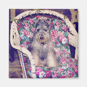 Schnauzer Magnet (Vorne)