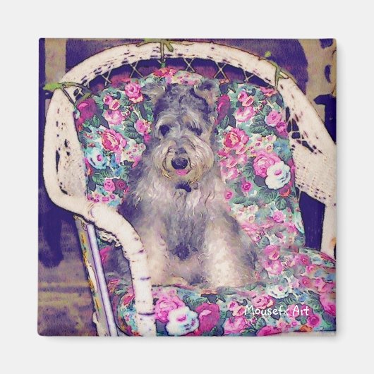 Schnauzer Magnet (Vorne)