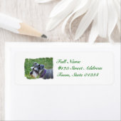 Schnauzer Mailing Labels (Insitu)