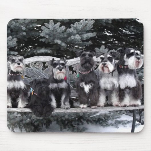 Schnauzer-Mausunterlage Mousepad (Vorne)