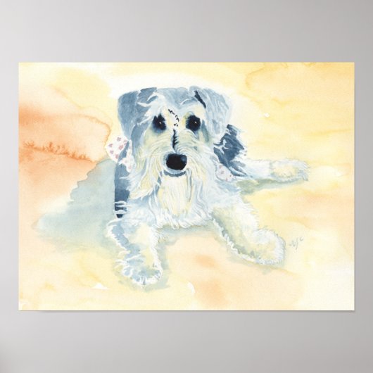 Schnauzer Mia Poster (Vorne)
