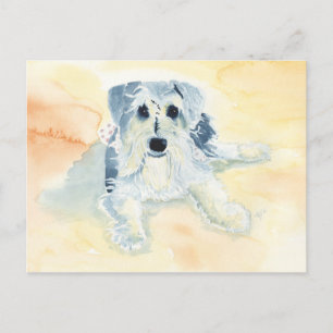 Schnauzer Mia Postkarte