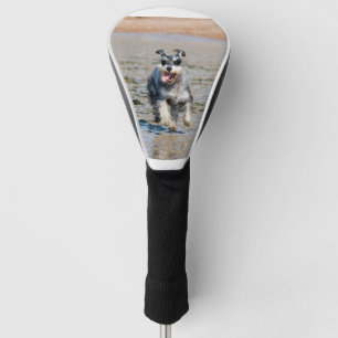 schnauzer-Minibetrieb Golf Headcover