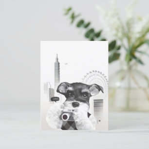 Schnauzer mit Kamera Ankündigungspostkarte