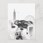 Schnauzer mit Kamera Ankündigungspostkarte (Vorderseite)