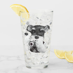 Schnauzer mit Kamera Glas
