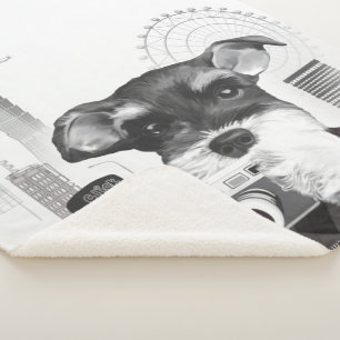 Schnauzer mit Kamera Sherpadecke