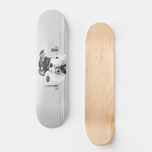 Schnauzer mit Kamera Skateboard (Vorderseite)