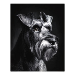 Schnauzer-Monochrom-Porträt Fotodruck