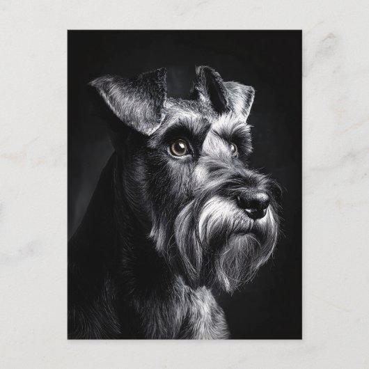 Schnauzer Monochrom-Porträt Postkarte (Vorderseite)