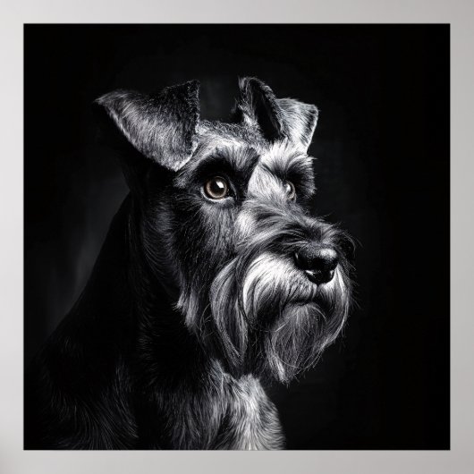 Schnauzer Monochrome Portrait Poster (Vorne)
