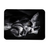 Schnauzer Monochromes Portrait Flexibel Magnet (Horizontal)