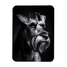 Schnauzer Monochromes Portrait Flexibel