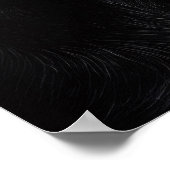 Schnauzer monochromes Porträt Poster (Ecke)