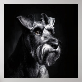 Schnauzer monochromes Porträt Poster