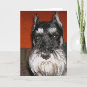 Schnauzer Note Card Karte