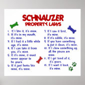 SCHNAUZER PL2 POSTER (Vorne)