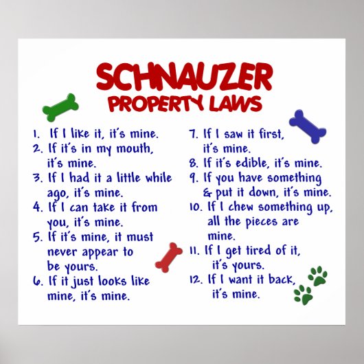 SCHNAUZER PL2 POSTER (Vorne)