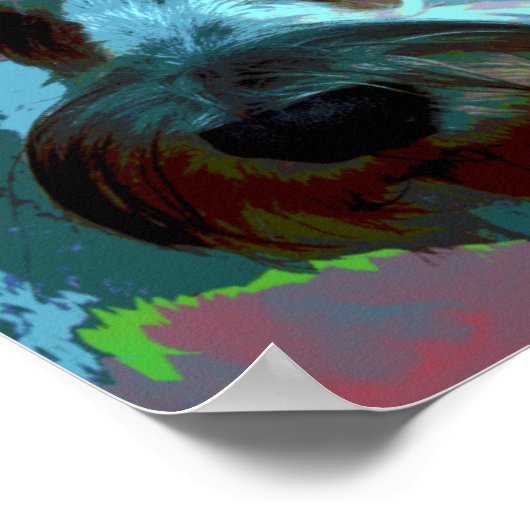 Schnauzer-Plakat Poster (Ecke)