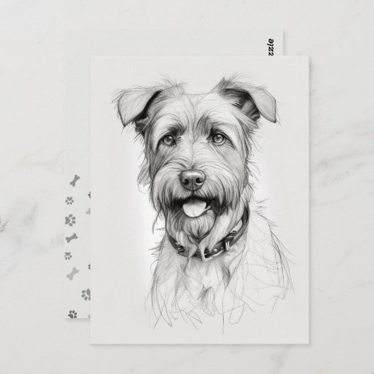 Schnauzer Portrait Pencil Sketch Postkarte (Vorne/Hinten)