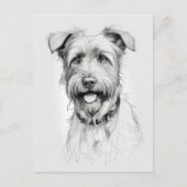 Schnauzer Portrait Pencil Sketch Postkarte (Vorderseite)