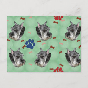 Schnauzer Portrait Postkarte