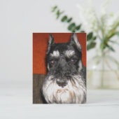 Schnauzer Postcard Postkarte (Stehend Vorderseite)