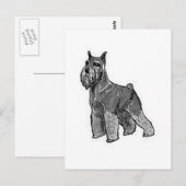 Schnauzer Postkarte (Vorne/Hinten)