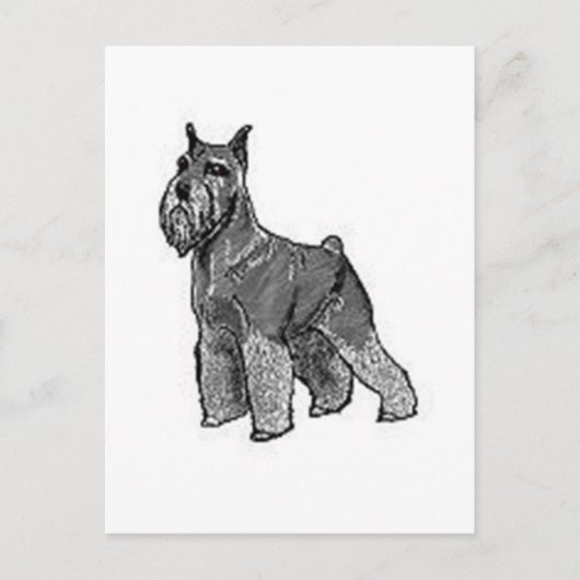 Schnauzer Postkarte (Vorderseite)