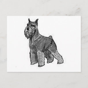 Schnauzer Postkarte