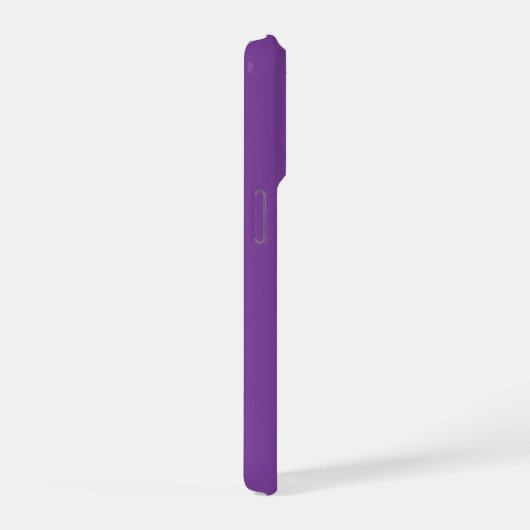 Schnauzer Prince iPhone Hülle (Rechte Seite)