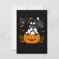 Schnauzer Pumpkin Halloween Kostümhund Lover