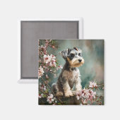 Schnauzer Puppy Among Spring Cherry Blossoms Magnet (Vorderseite/Rückseite)