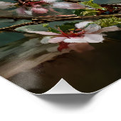 Schnauzer Puppy Among Spring Cherry Blossoms Poster (Ecke)