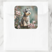 Schnauzer Puppy Among Spring Cherry Blossoms Quadratischer Aufkleber (Tasche)