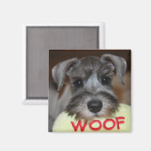 Schnauzer Puppy Magnet (Vorderseite/Rückseite)