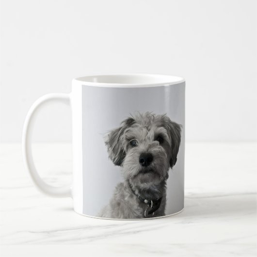 Schnauzer Puppy Portrait Photo Kaffeetasse (Links)