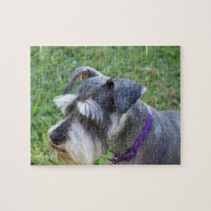Schnauzer-Puzzlespiel Puzzle