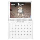 Schnauzer-Rettung Mittler-Atlantischen 2012 Kalender (Feb 2027)