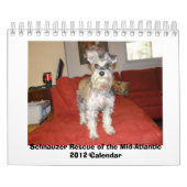 Schnauzer-Rettung Mittler-Atlantischen 2012 Kalender (Titelbild)