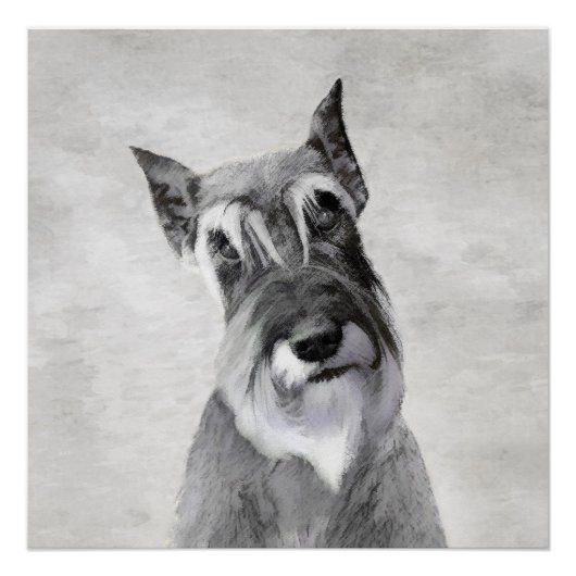 Schnauzer (Riesenmalerei) - Hundekunst Poster (Vorderseite)