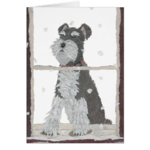 Schnauzer, Schnee, Winter, Hundekunst