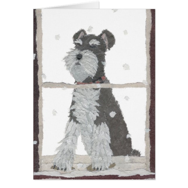 Schnauzer, Schnee, Winter, Hundekunst (Vorne)