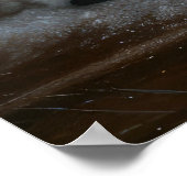 Schnauzer Snowy Sleigh Weihnachtsdekor Poster (Ecke)