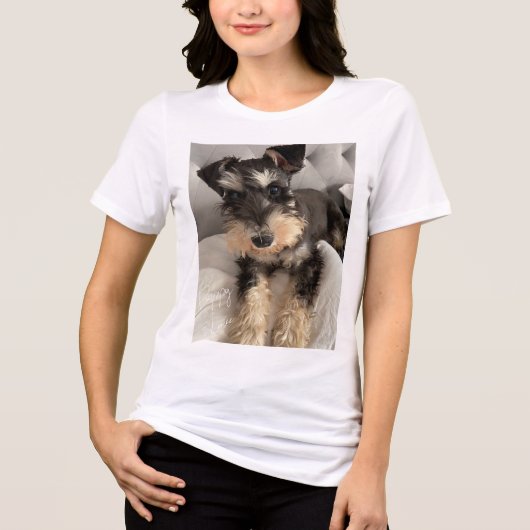 Schnauzer T-Shirt Tri-Blend Shirt (Vorderseite)