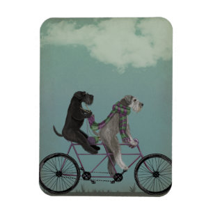 Schnauzer Tandem Magnet