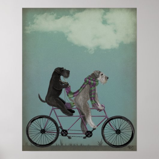 Schnauzer Tandem Poster (Vorne)
